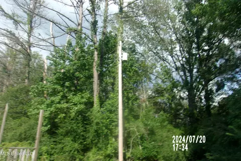 210 Green Gable Rd, Terry, MS 39170 photo 5