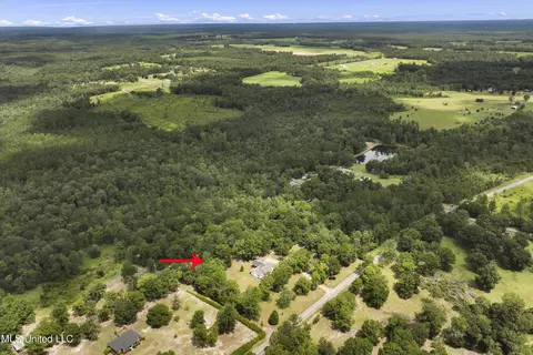 1161 C F Ward Rd, Lucedale, MS 39452 photo 21