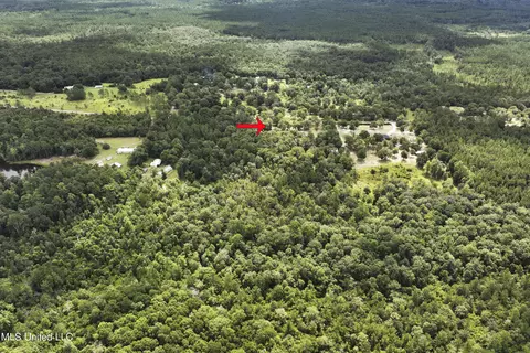 1161 C F Ward Rd, Lucedale, MS 39452 photo 24