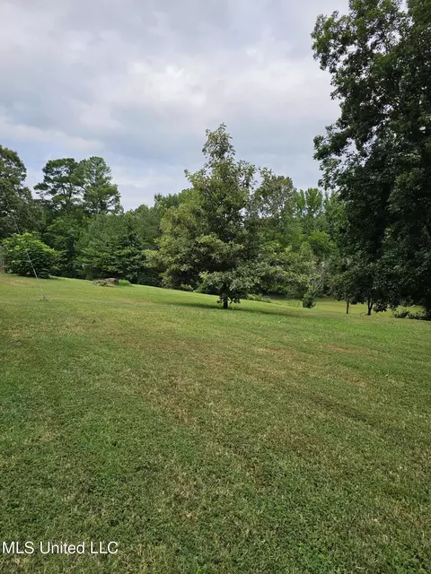 2684 Jaybird Rd, Hernando, MS 38632 photo 38