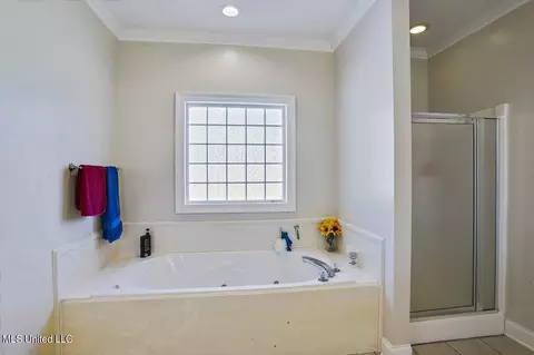 Bath - 105 Victoria Pl, Brandon, MS 39042 photo 2 of 3