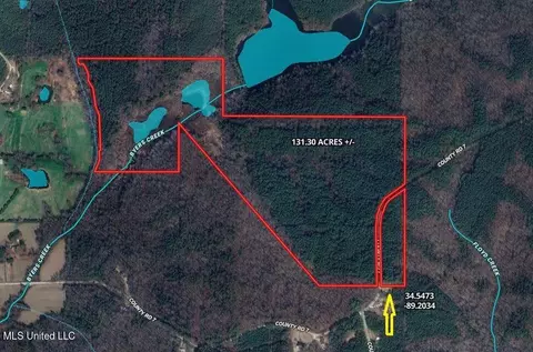 Co Rd 7, Myrtle, MS 38650