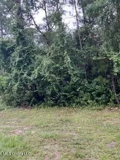 Main Street, Ocean Springs, MS 39564