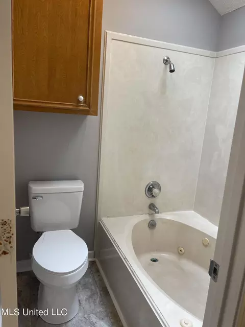 Bath - 230 Turtle Creek Dr, Byram, MS 39272 photo 3 of 3