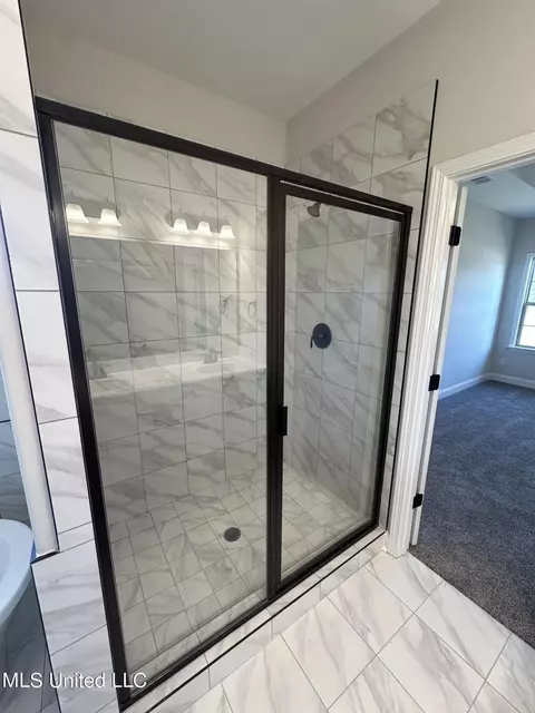 Bath - 672 Lucas Ln, Hernando, MS 38632 photo 2 of 4