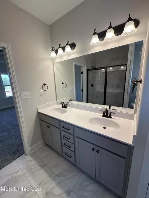 Bath - 672 Lucas Ln, Hernando, MS 38632 photo 3 of 4