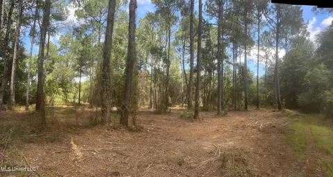 Lilly Coleman Road, Lucedale, MS 39452
