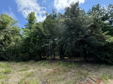 Lilly Coleman Road, Lucedale, MS 39452 photo 4