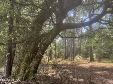 Lilly Coleman Road, Lucedale, MS 39452 photo 2