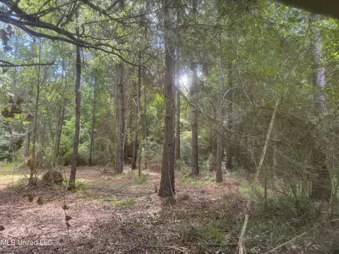 Lilly Coleman Road, Lucedale, MS 39452 photo 3