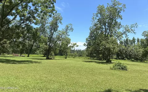 Nsn Hwy 198 E, Lucedale, MS 39452 photo 3