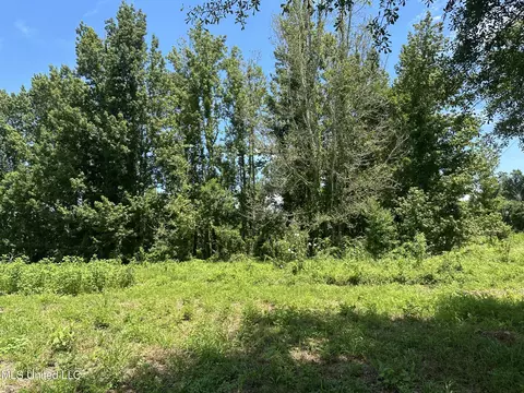 Nsn Hwy 198 E, Lucedale, MS 39452 photo 11