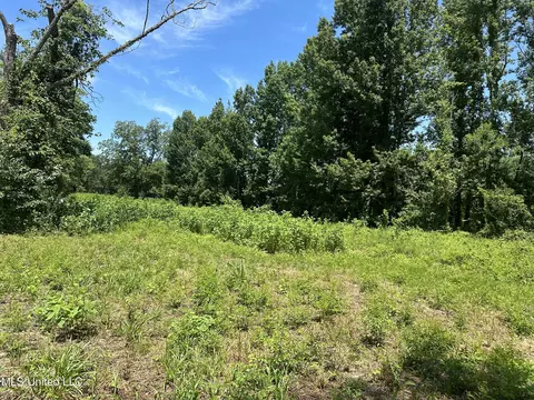 Nsn Hwy 198 E, Lucedale, MS 39452 photo 10