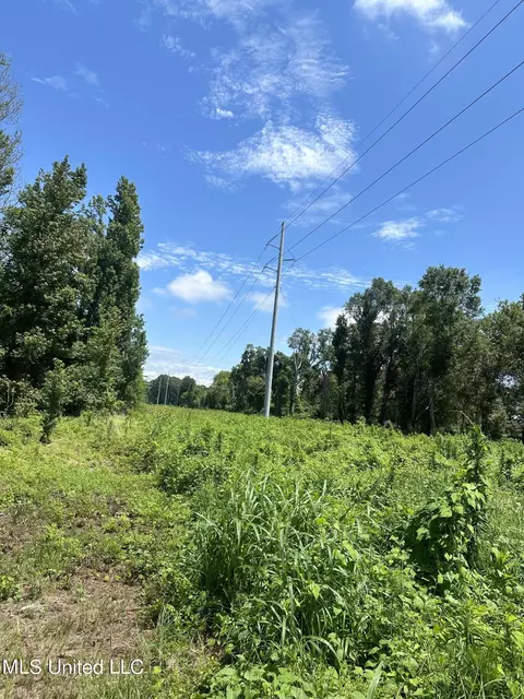 Nsn Hwy 198 E, Lucedale, MS 39452 photo 16