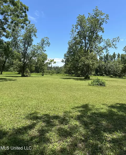 Nsn Hwy 198 E, Lucedale, MS 39452 photo 5