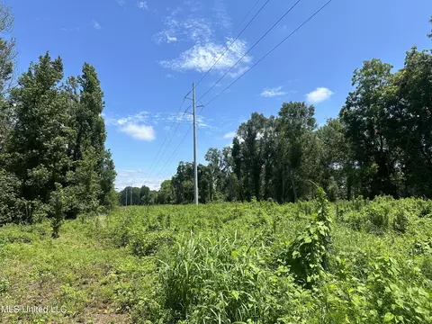 Nsn Hwy 198 E, Lucedale, MS 39452 photo 12