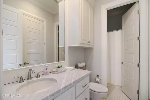124 Camden Shrs, Madison, MS 39110 photo 26