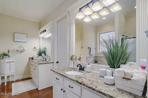 Bath - 222 Duclair Ct, Brandon, MS 39042 photo 1 of 3