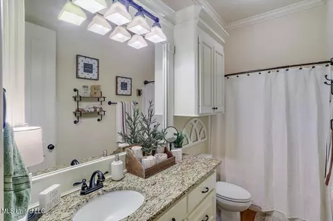 Bath - 222 Duclair Ct, Brandon, MS 39042 photo 3 of 3