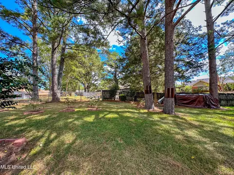 101 Lowe Cir, Clinton, MS 39056 photo 19