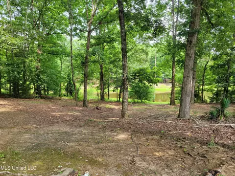 20 County Road 523, Como, MS 38619 photo 31