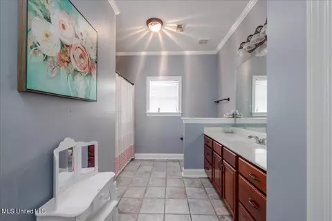 Bath - 7340 Alphaba Rd, Coldwater, MS 38618 photo 1 of 6