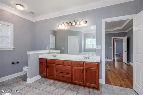 Bath - 7340 Alphaba Rd, Coldwater, MS 38618 photo 4 of 6