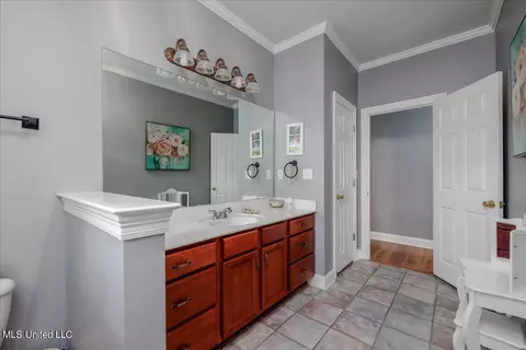 Bath - 7340 Alphaba Rd, Coldwater, MS 38618 photo 2 of 6