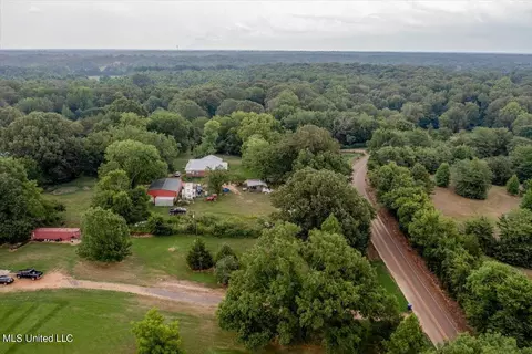 View/Area - 7340 Alphaba Rd, Coldwater, MS 38618 photo 4 of 4