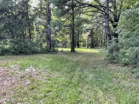 10290 County Road 4306, Union, MS 39365 photo 7