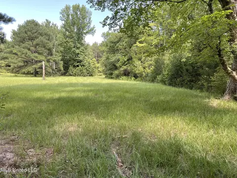 10290 County Road 4306, Union, MS 39365 photo 9