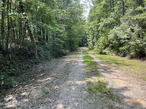 10290 County Road 4306, Union, MS 39365 photo 2