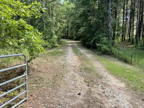 10290 County Road 4306, Union, MS 39365 photo 3