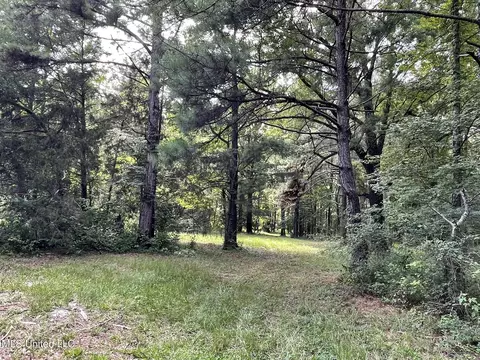 10290 County Road 4306, Union, MS 39365 photo 8