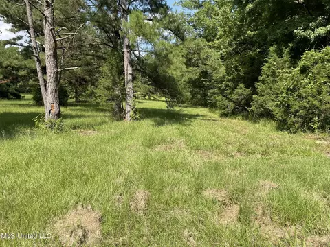 10290 County Road 4306, Union, MS 39365 photo 10