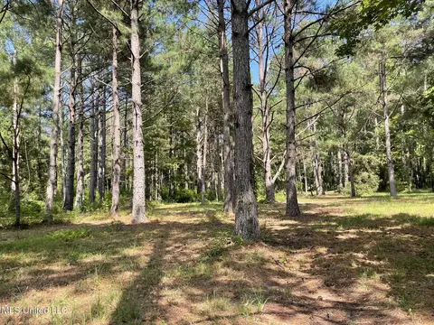 10290 County Road 4306, Union, MS 39365 photo 11