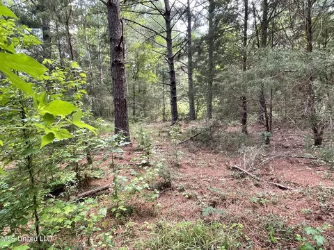 10290 County Road 4306, Union, MS 39365 photo 6