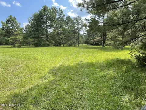 10290 County Road 4306, Union, MS 39365 photo 5