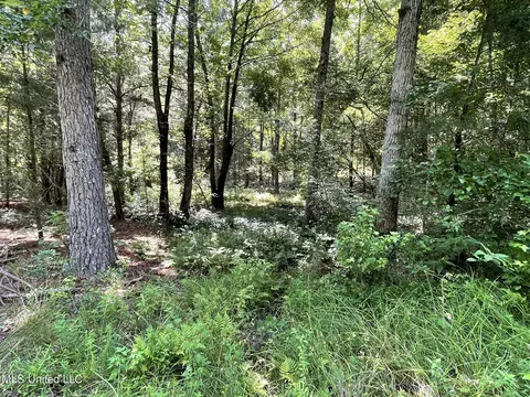 10290 County Road 4306, Union, MS 39365 photo 13