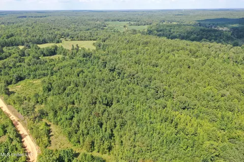 390 Mckee Rd, Falkner, MS 38629 photo 5