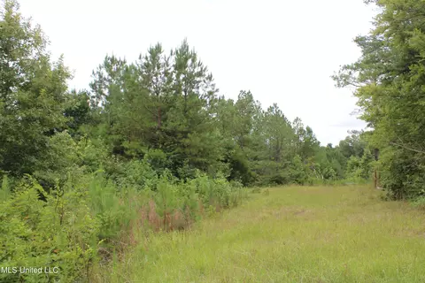 390 Mckee Rd, Falkner, MS 38629 photo 12