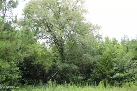 390 Mckee Rd, Falkner, MS 38629 photo 23