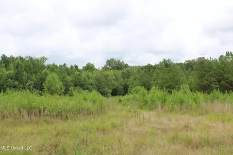 390 Mckee Rd, Falkner, MS 38629 photo 11