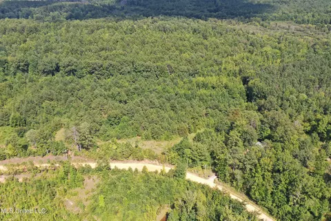 390 Mckee Rd, Falkner, MS 38629 photo 7