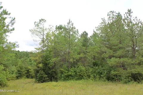 390 Mckee Rd, Falkner, MS 38629 photo 13