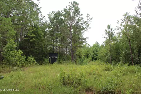 390 Mckee Rd, Falkner, MS 38629 photo 18