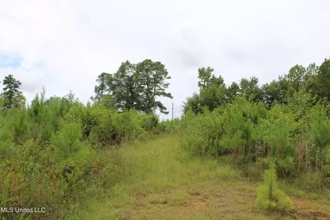390 Mckee Rd, Falkner, MS 38629 photo 22