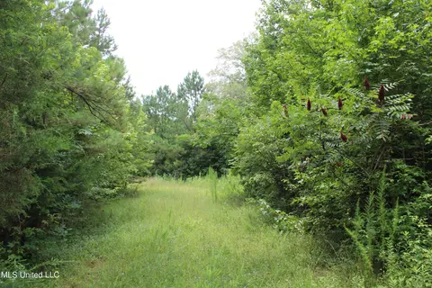 390 Mckee Rd, Falkner, MS 38629 photo 25