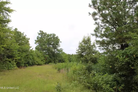 390 Mckee Rd, Falkner, MS 38629 photo 20