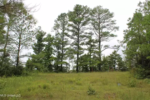 390 Mckee Rd, Falkner, MS 38629 photo 19